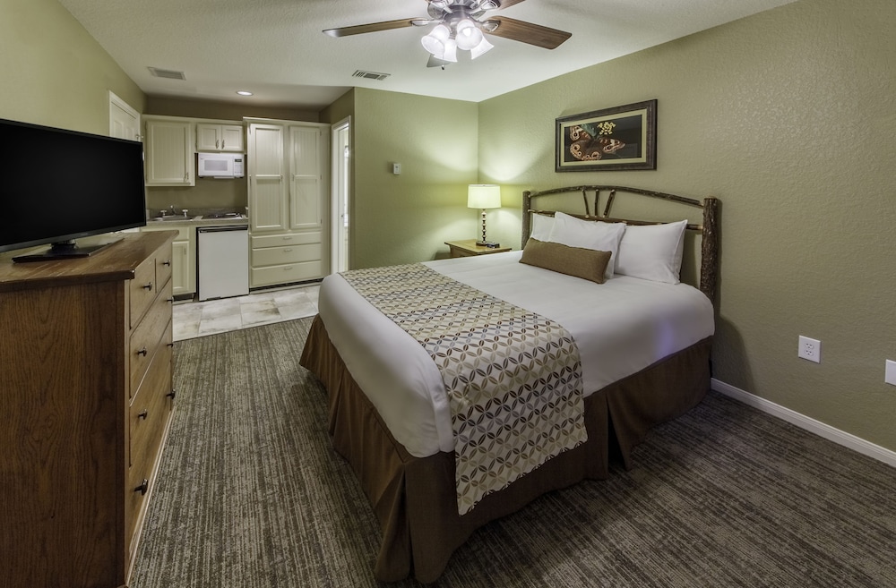 Silverleaf Resort - photo 31