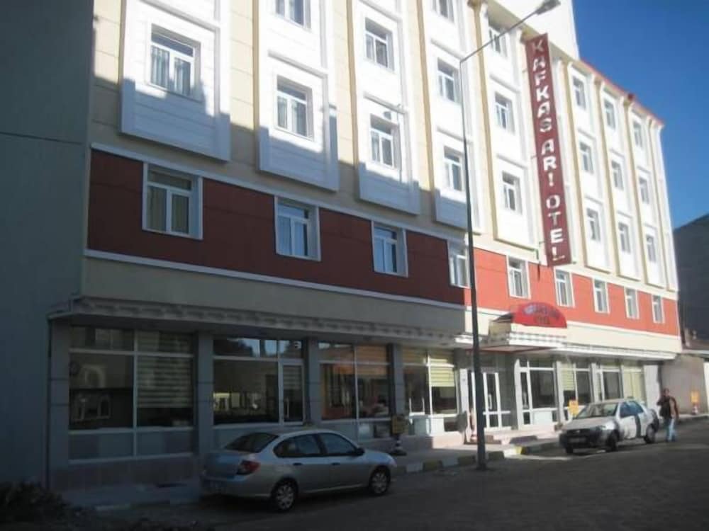 Kafkas Ari Hotel in Ardahan, Turkey