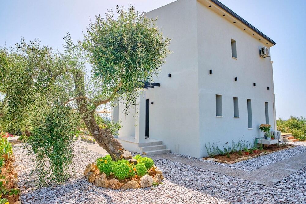 Olivista in Platonas - last minute hotel in Corfu