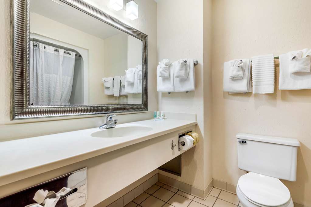 Quality Inn & Suites Zanesville City Center - photo 10
