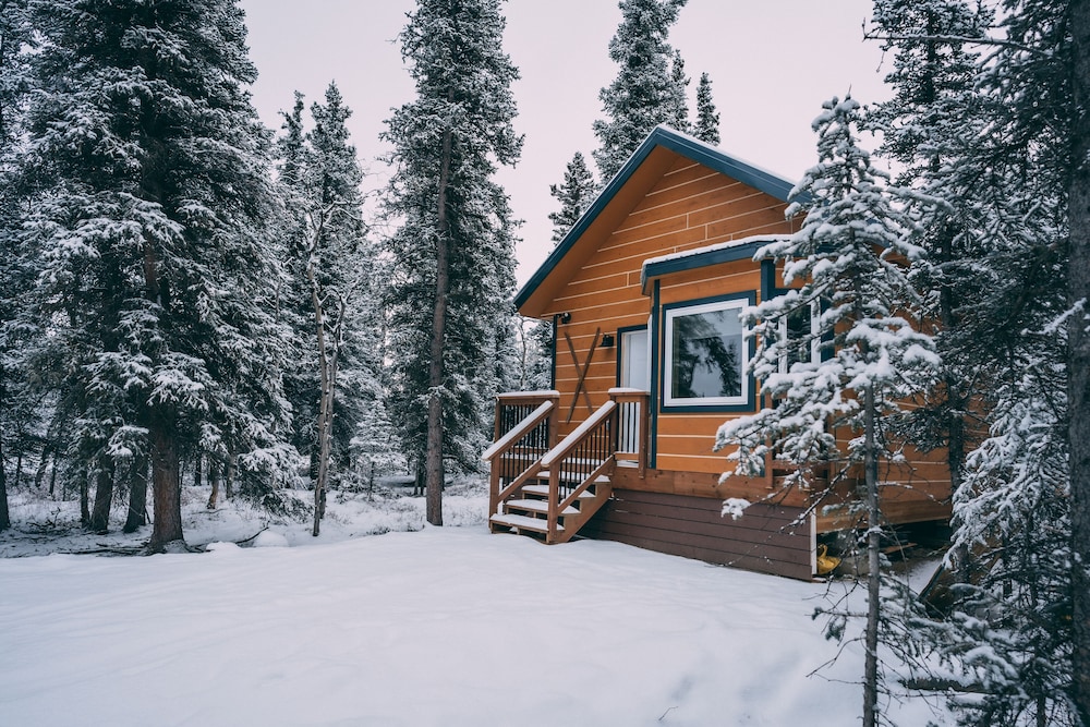 Denali Wild Stay - photo 77