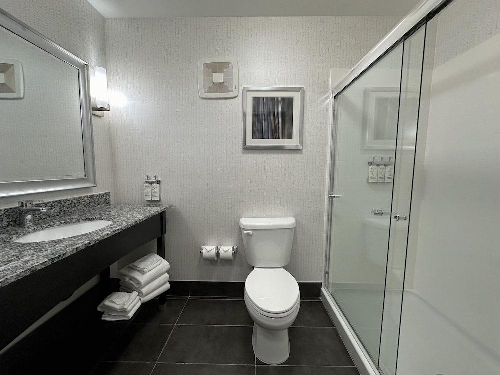 Holiday Inn Carlsbad by IHG - photo 21