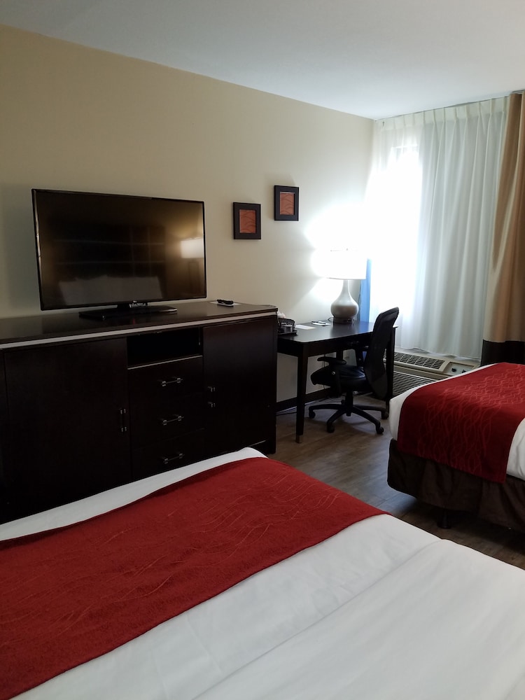Comfort Inn North of Asheville - photo 13