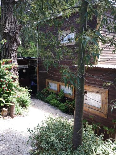 Lapachitademarazul - carbon neutral hotel in Unknown City