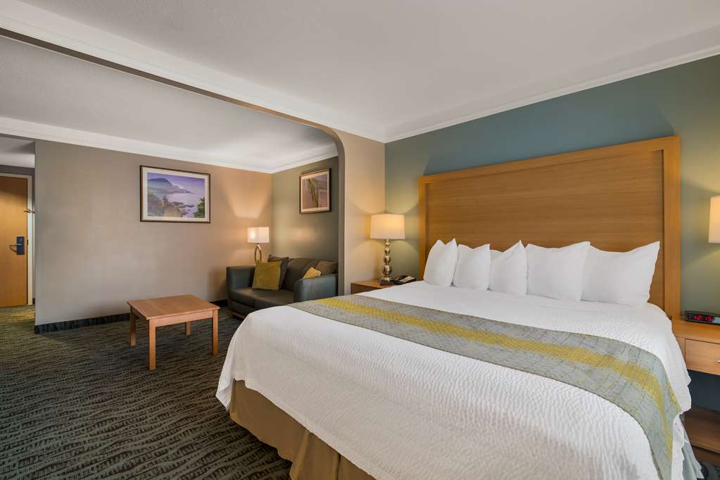 Best Western PLUS Executive Court Inn & Conference Center - photo 46