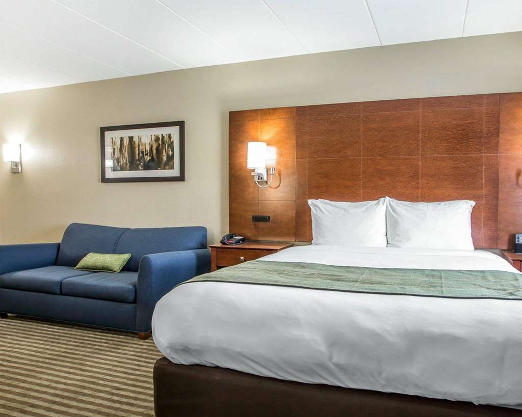 Comfort Inn Hammond I 94 - photo 42