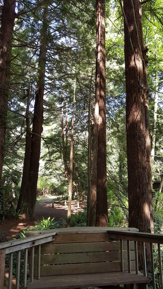 Emerald Forest Cabins - photo 92