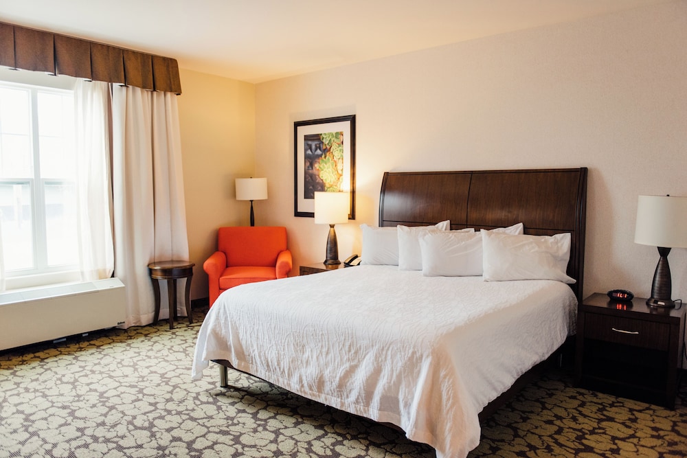 Hilton Garden Inn Auburn - photo 7