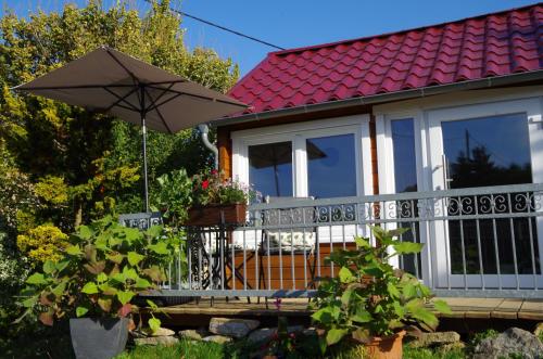 Ferienhaus Tinylausitz Mit Kamin Und Sauna — Steina