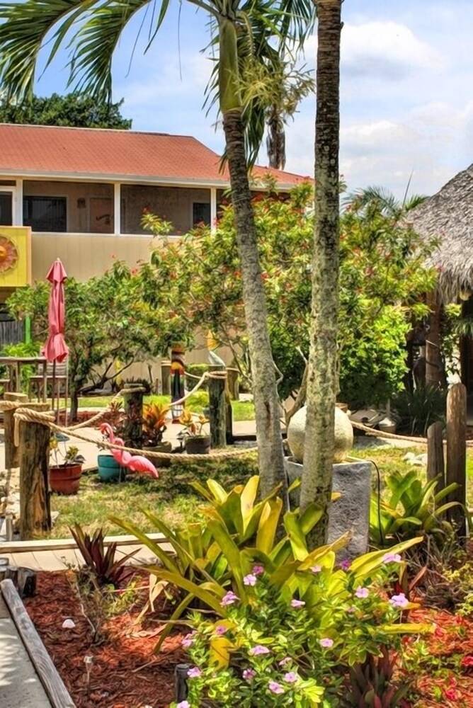 Palm Terrace - photo 53