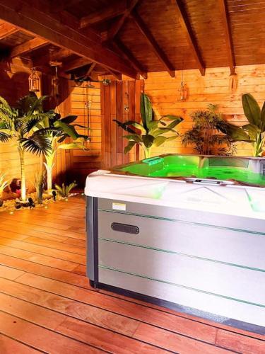 Tropical Spa - carbon neutral hotel in Provin
