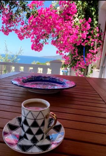 Sevinc Papatya House — 4-Star Luxury Hotel in Milas, Turkey