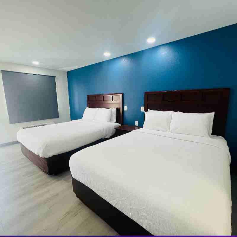 Hallmark Inn and Suites - photo 5