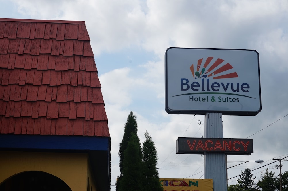 Bellevue Hotel & Suites - photo 81