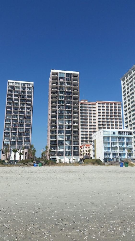 The Palms - photo 20