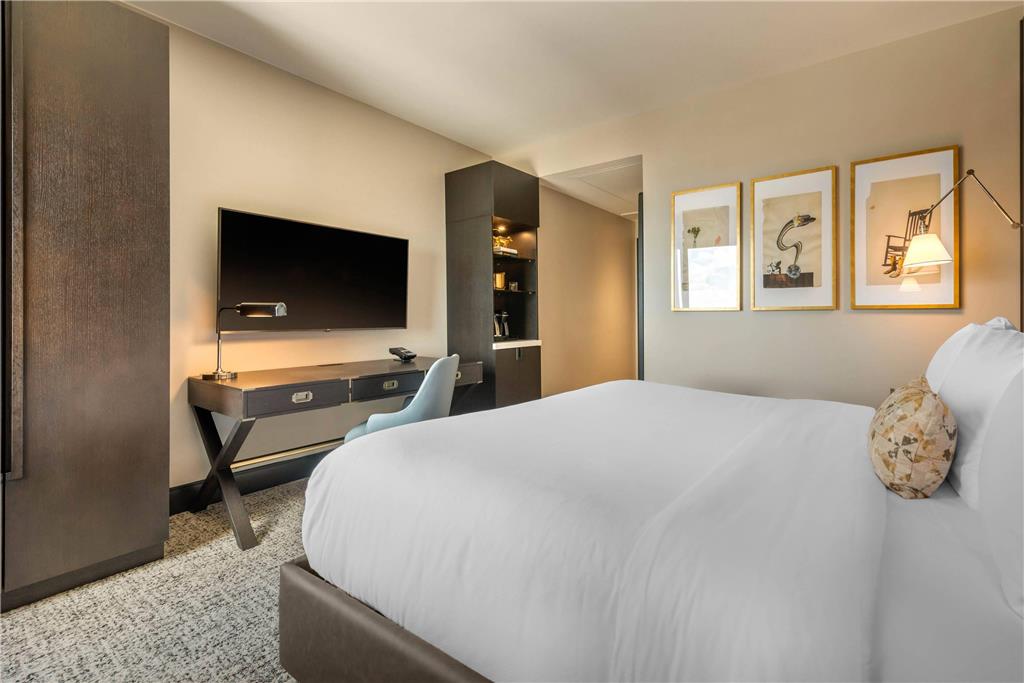 Cambria Hotel Houston Downtown Convention Center - photo 41