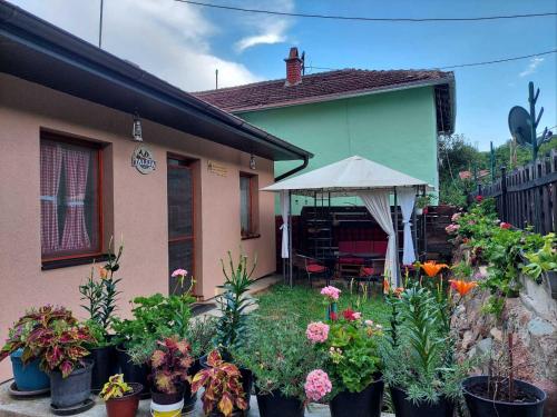 Std Kuća Talija - carbon neutral hotel in Unknown City