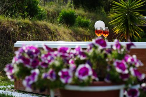 Casalina B & B — 4-Star Luxury Hotel in Portoferraio, Italy