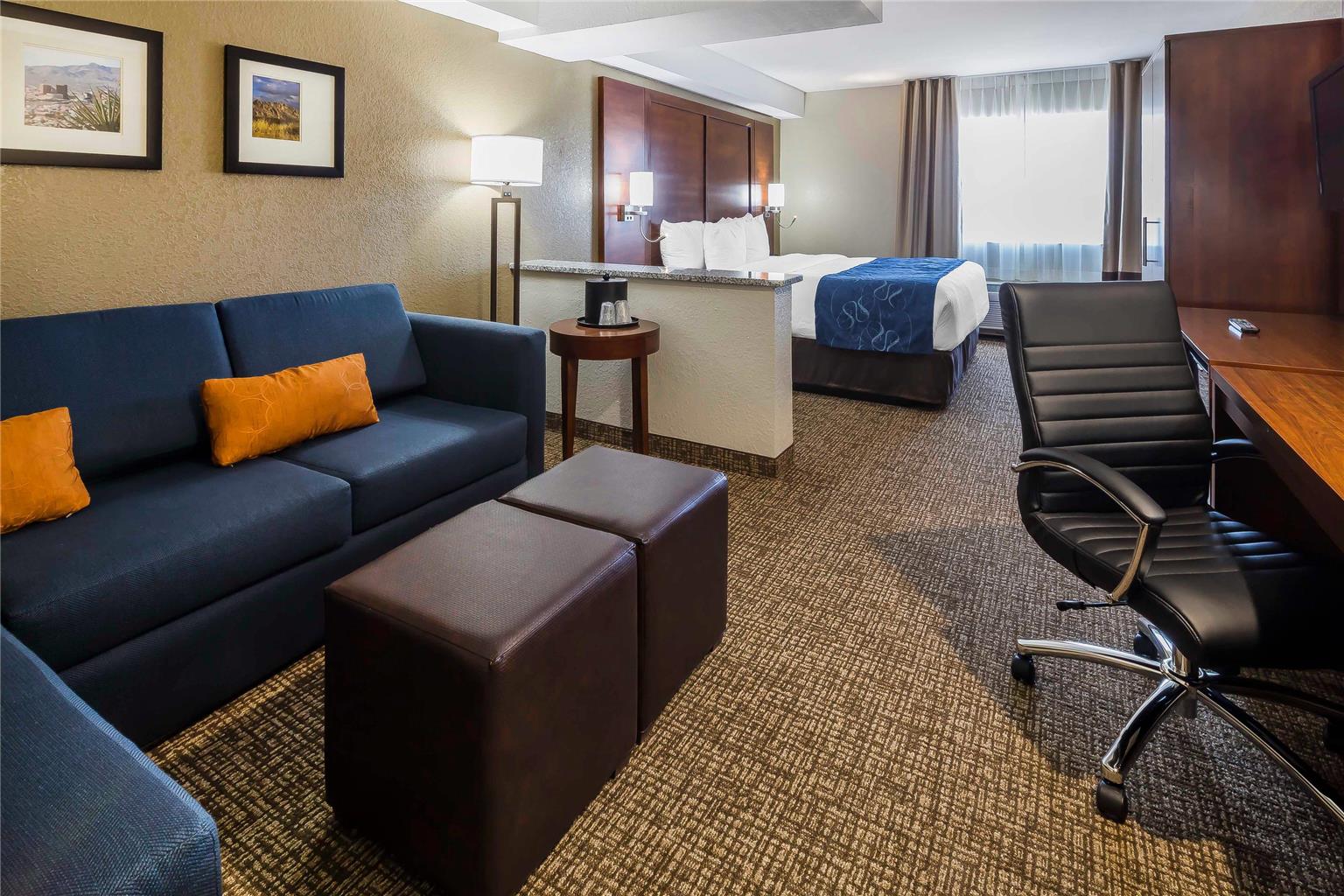 Comfort Suites El Paso Airport - photo 16