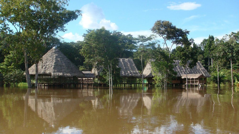 Chullachaqui EcoLodge - last minute hotel in Iquitos