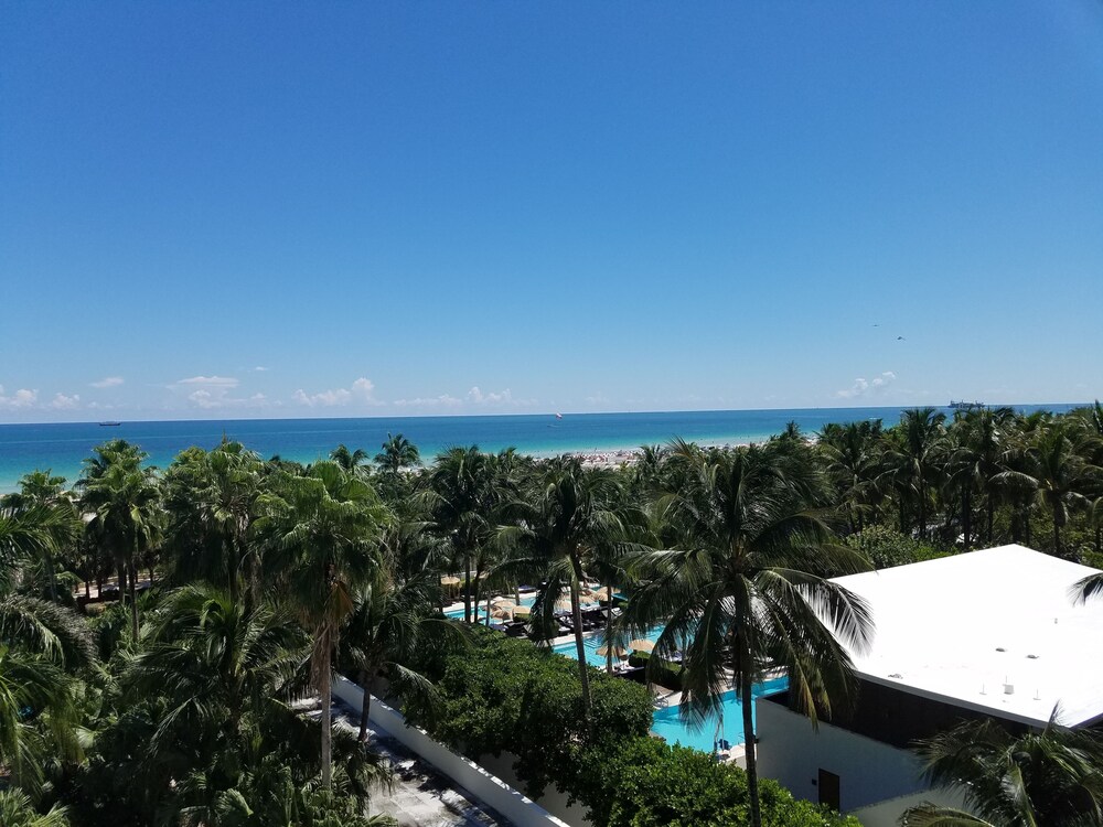 Seagull Hotel Miami Beach - photo 48