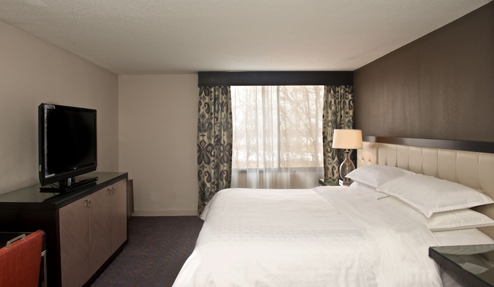 Sheraton Minneapolis West Hotel - photo 8