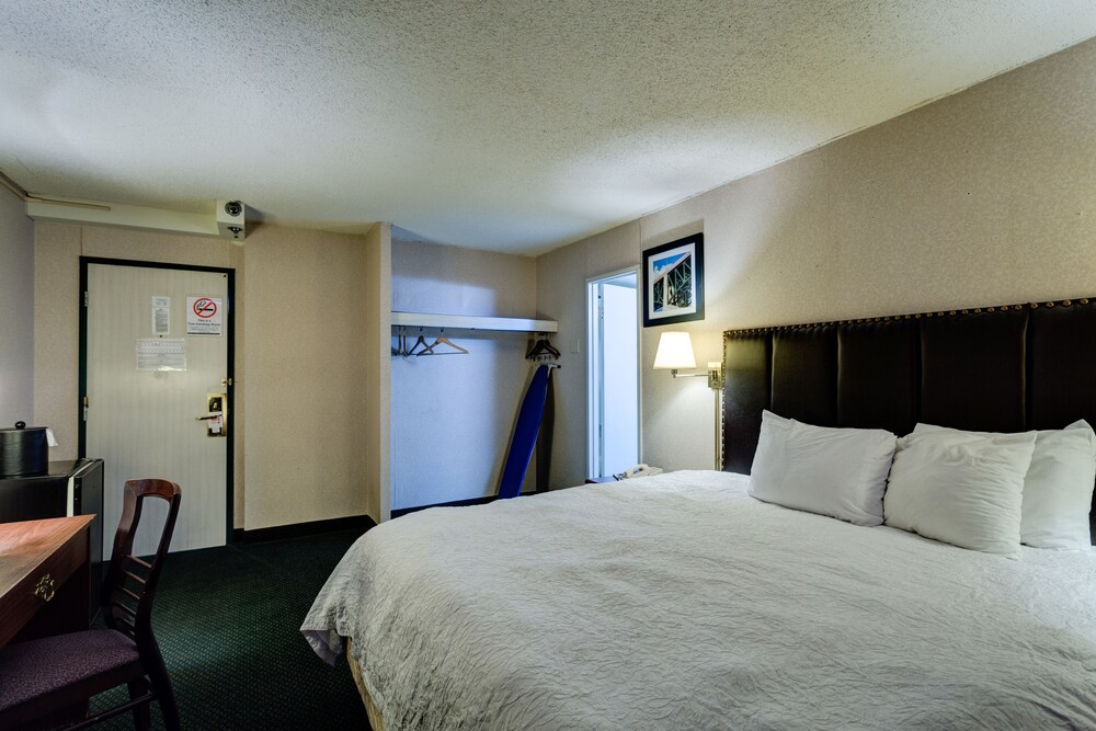 University Hotel & Suites - photo 11