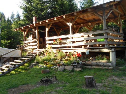 Cabana Filip — hotel in Cavnic