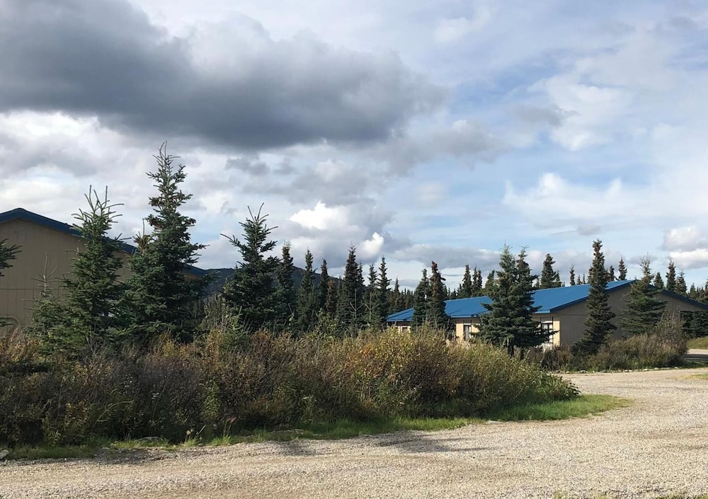Denali Park Hotel - photo 34