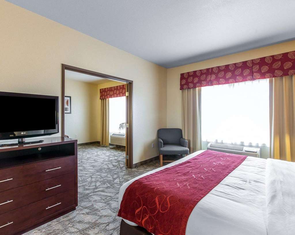 Comfort Suites Palm Desert I 10 - photo 11