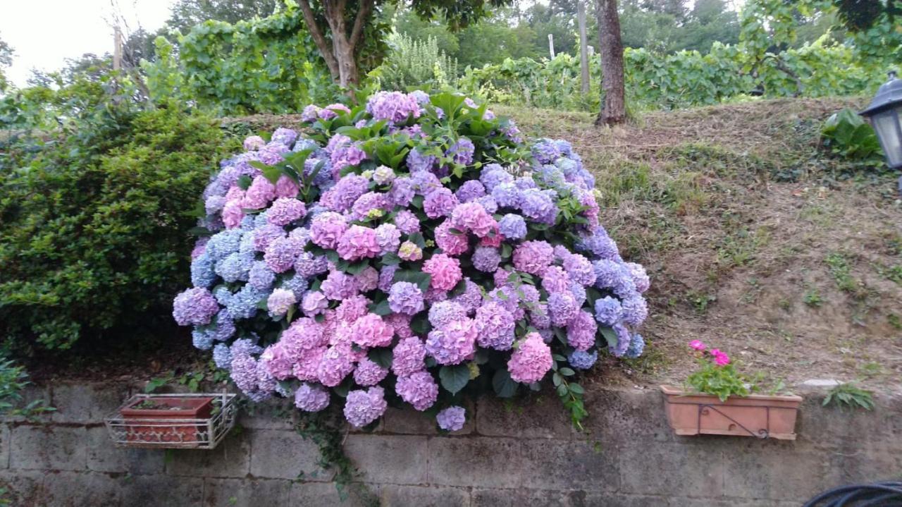 La Maroneta in Pistoia, Italy