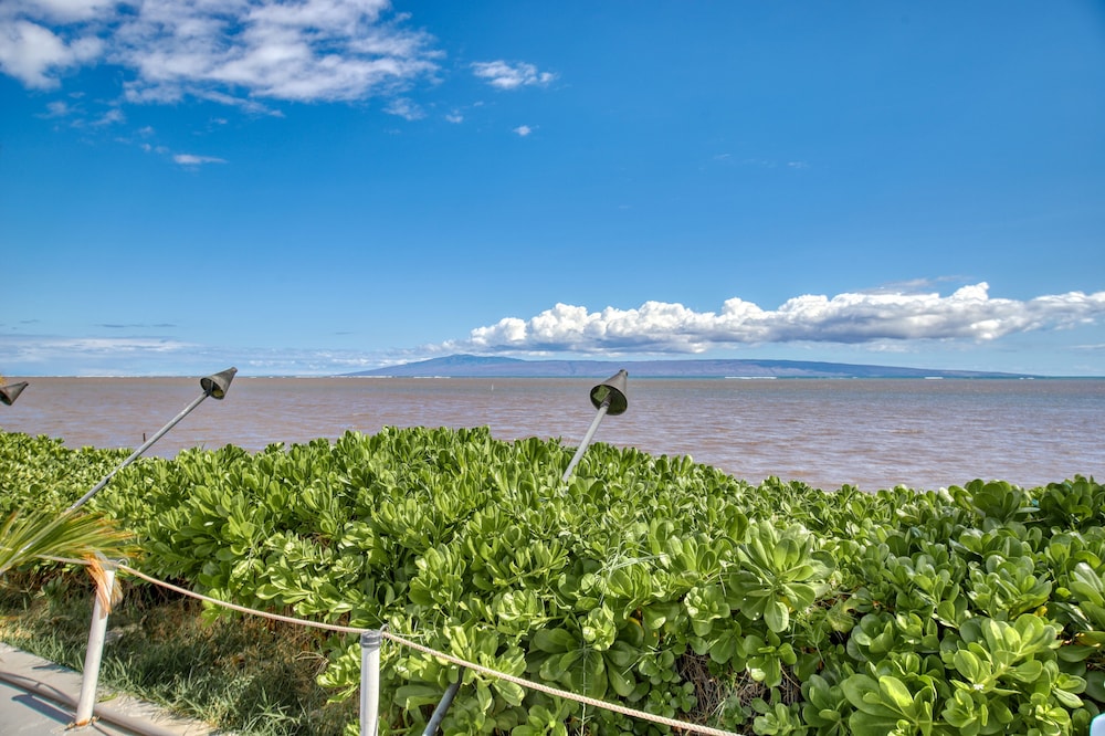Hotel Molokai - photo 33
