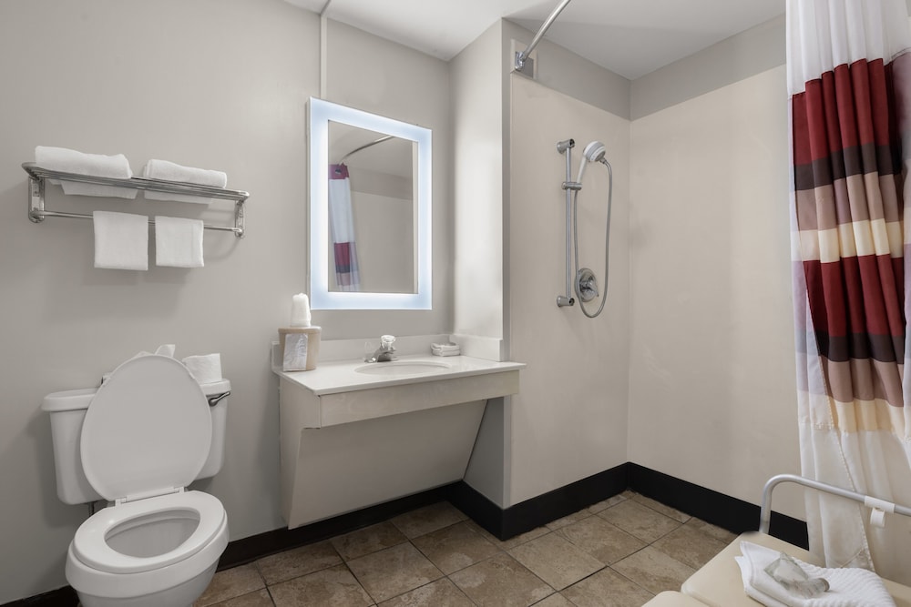 Red Roof Inn & Suites Savannah Airport - photo 26