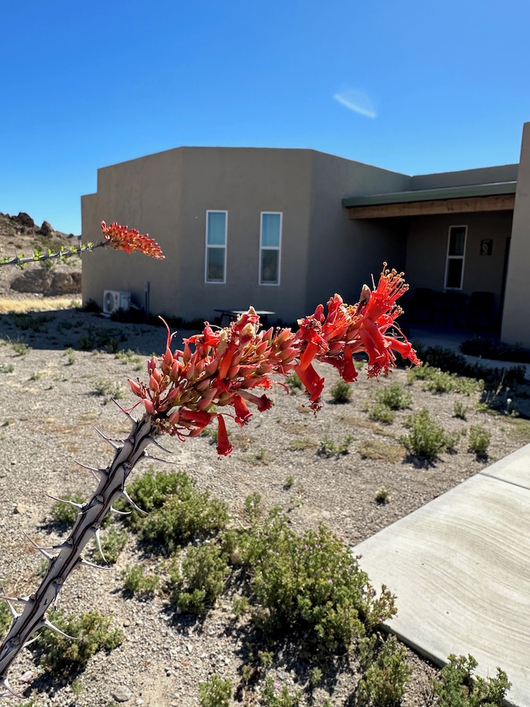 Paisano Village RV Park & Inn - photo 17
