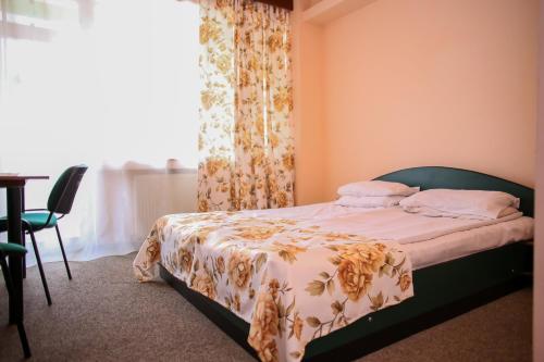 Hotel Silva in Vatra Dornei, Romania