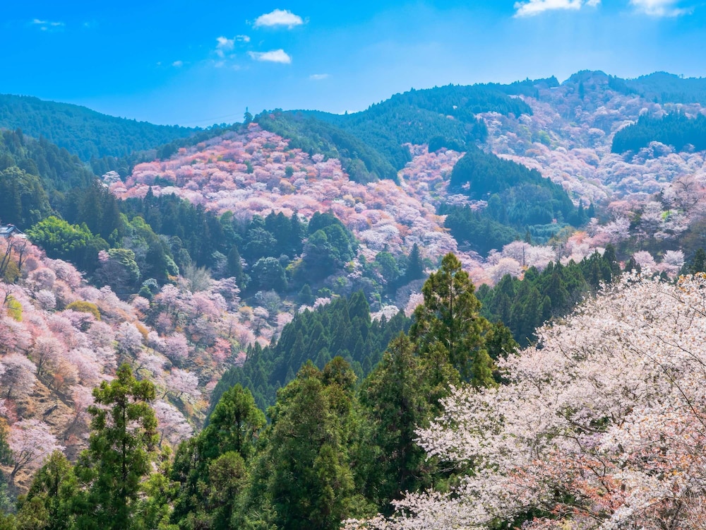 Grand Mercure Nara Kashihara — 4-Star Luxury Hotel in Kashihara, Japan