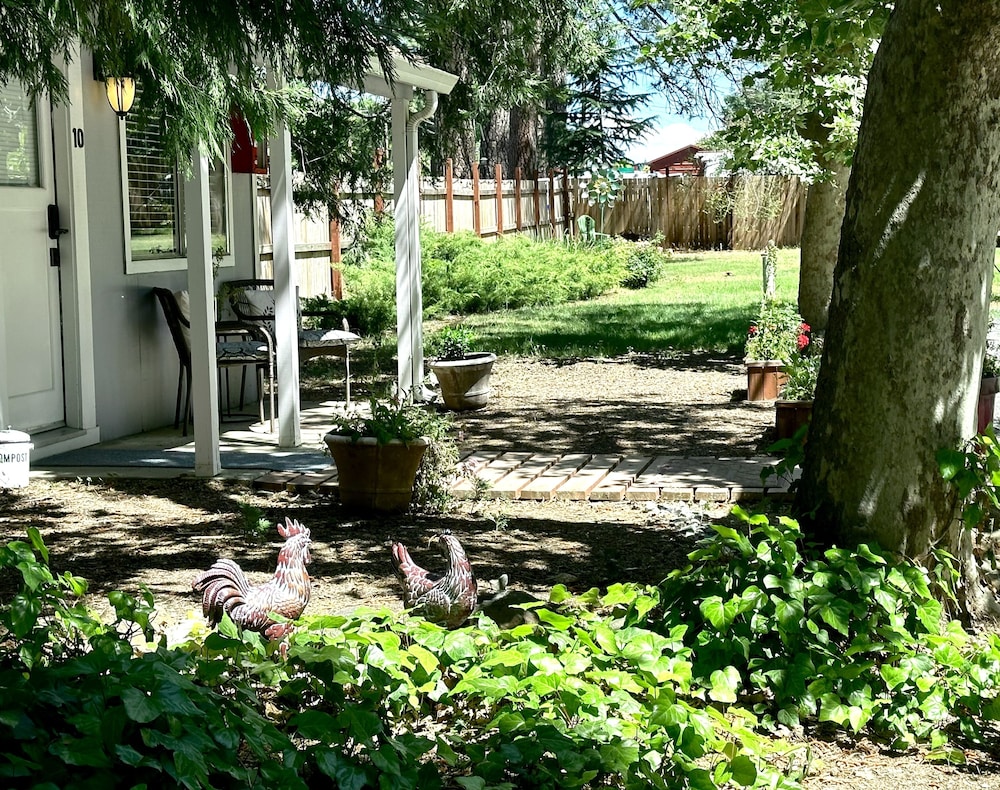 The Pines Inn and Cottages - photo 38