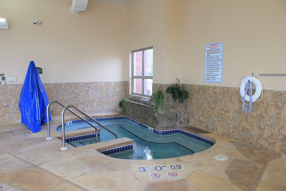 Holiday Inn Madison at The American Center by IHG - photo 25
