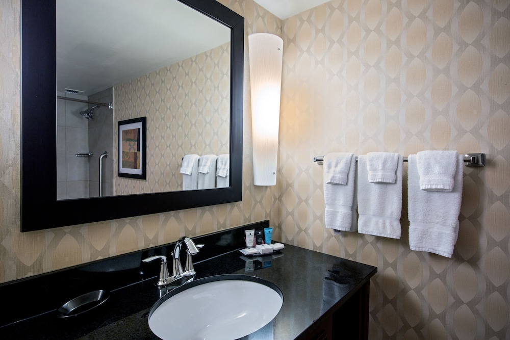 Crowne Plaza St. Louis Airport by IHG - photo 119