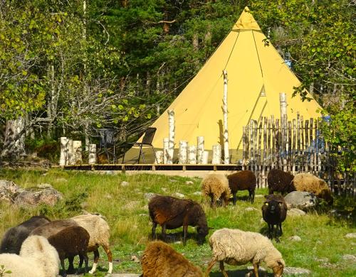 Västeräng Glamping - last minute hotel in Unknown City