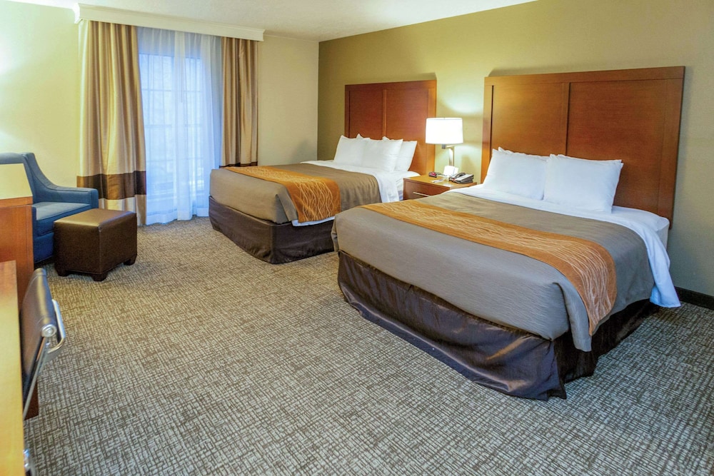 Comfort Inn Salt Lake City Downtown - photo 43