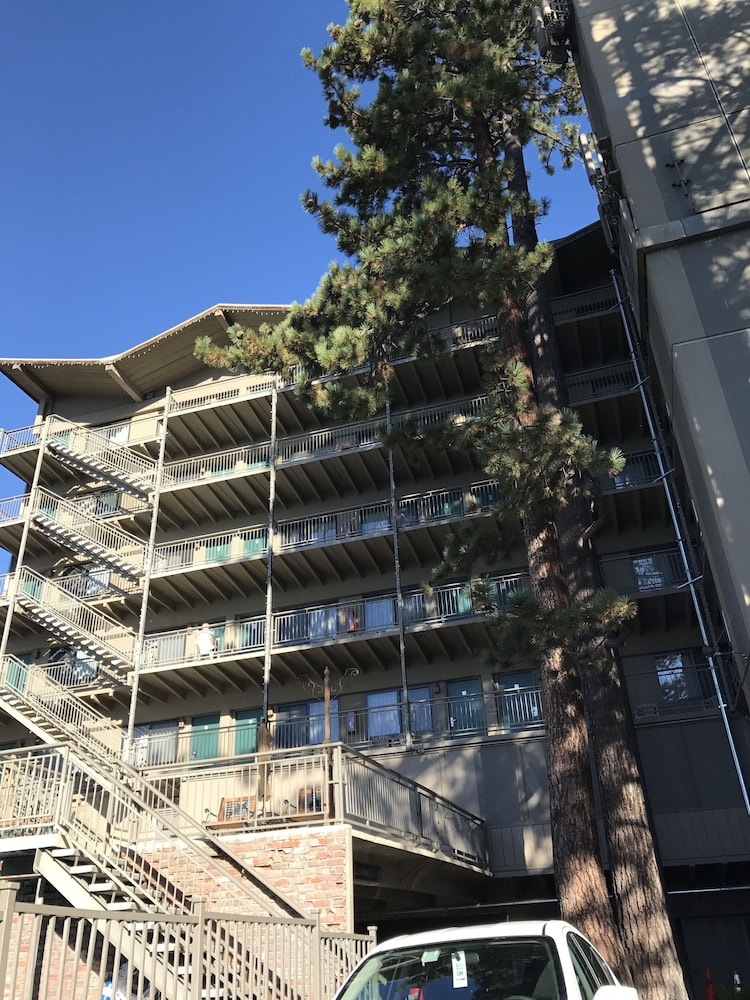 Pepper Tree Inn - photo 37