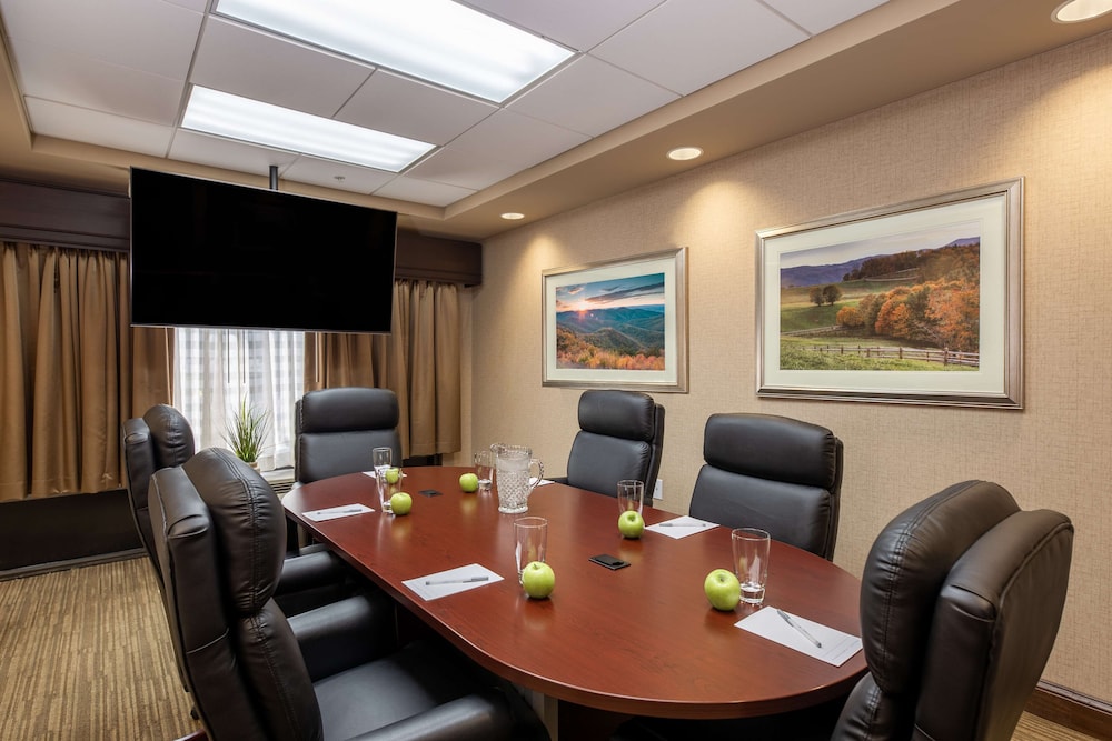Hampton Inn Winston Salem Hanes Mall - photo 41