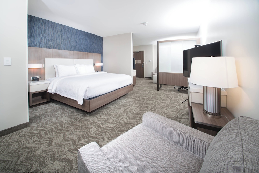 SpringHill Suites by Marriott Fayetteville Fort Bragg - photo 8