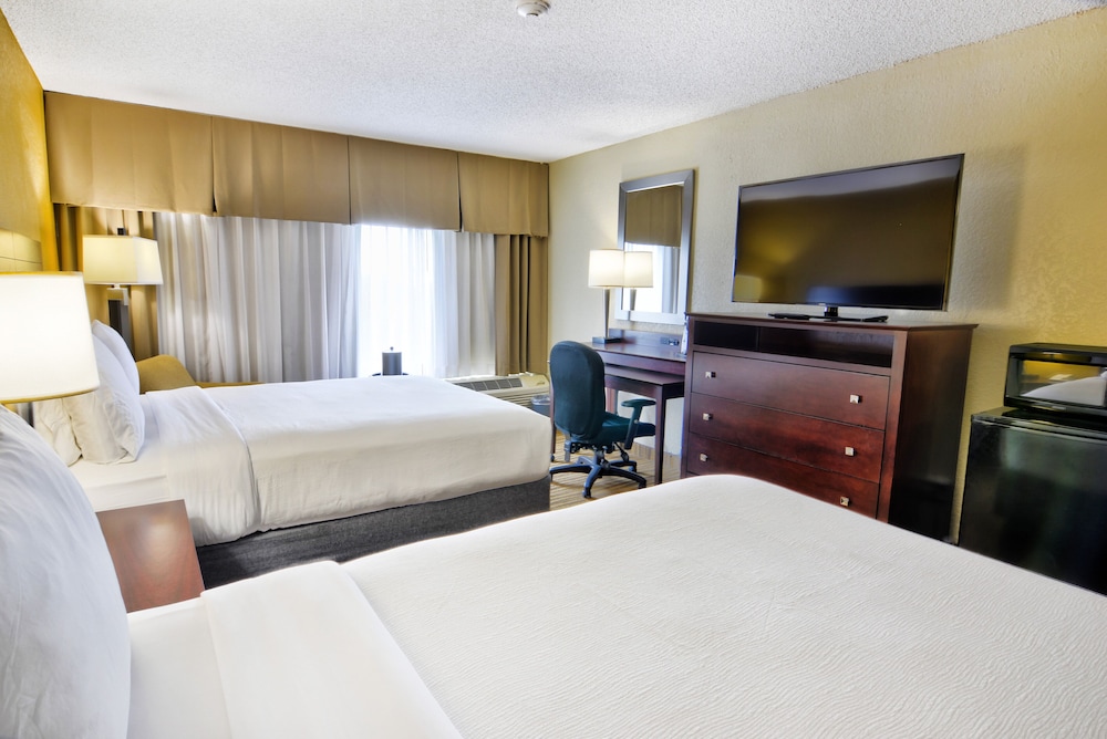 Holiday Inn St Petersburg N Clearwater by IHG - photo 9