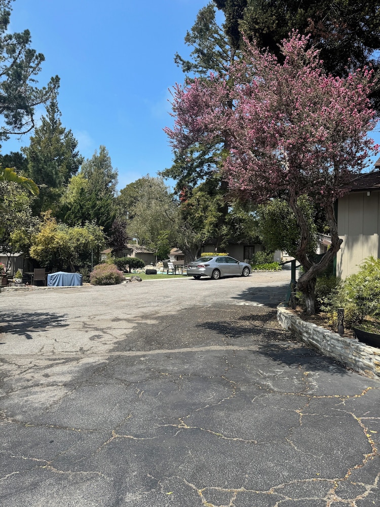 Carmel Resort Inn - photo 118