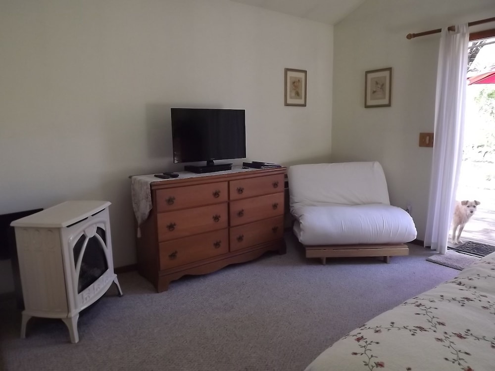 Backyard Garden Oasis - photo 5