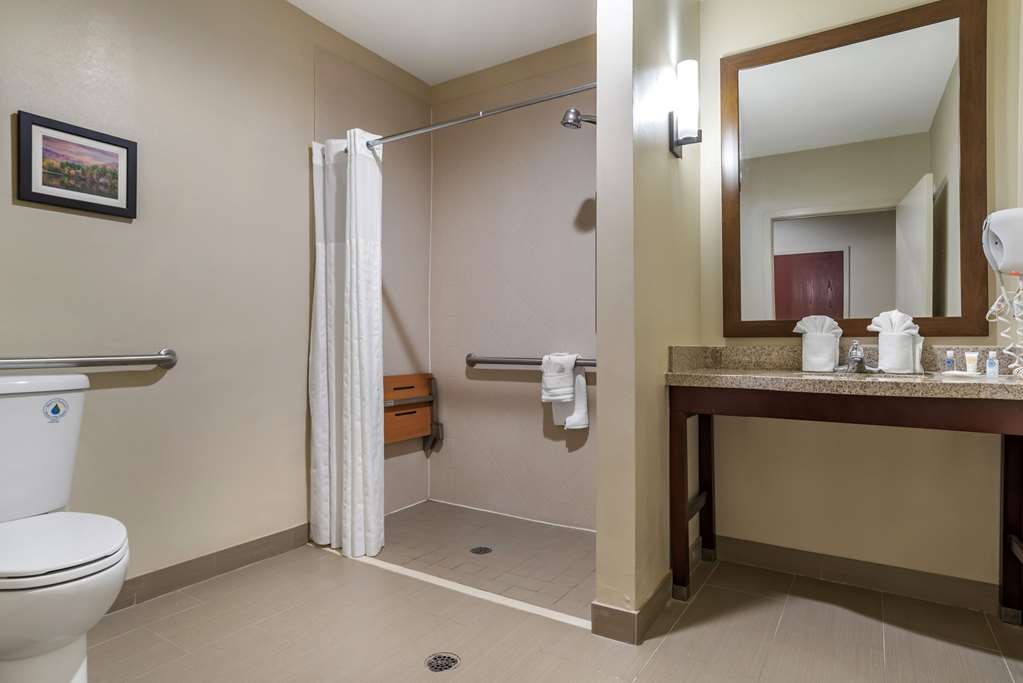 Comfort Suites Pell CIty near Logan Martin Lake - photo 24