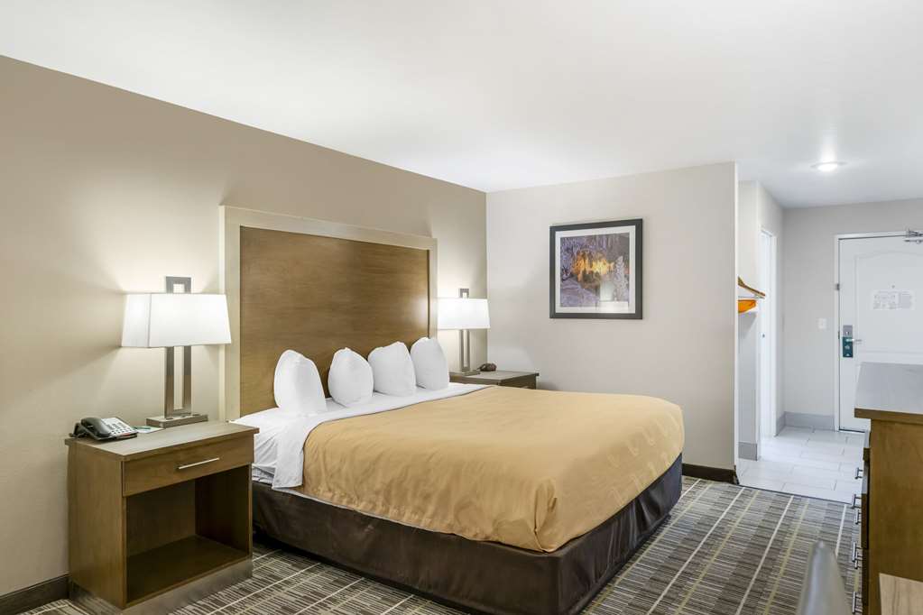 Quality Inn & Suites Carlsbad Caverns Area - photo 7