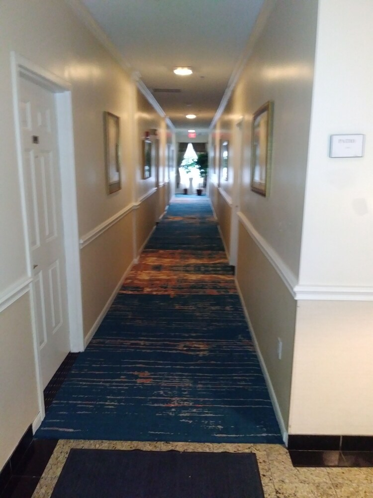 Athens Hotel Suites - photo 19